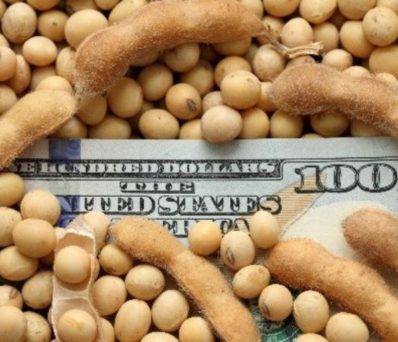 Calculan que el agro le dejará al Estado unos U$S 12.150 millones en 2017