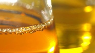 Extienden hasta el 30 de abril beneficios impositivos sobre el biodiésel