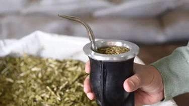 El mercado decidirá los precios de la yerba mate.