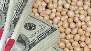 Momento clave para la agroexportación