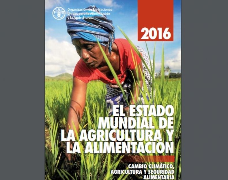 La FAO vuelve a alzar la voz sobre los peligros del cambio climático