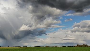 Es un momento clave para determinar el impacto de las lluvias en los cultivos.