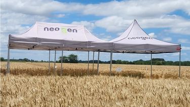 Soluciones para los productores rurales.