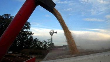 Especialistas dieron claves sobre la producción de alimentos