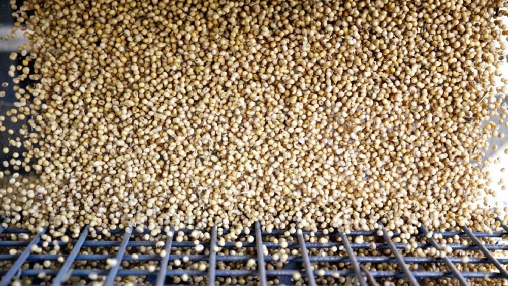 Prevén cambios en los precios de los granos por cuestiones climáticas