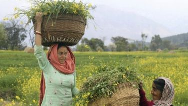 Las mujeres del campo están lejos de la igualdad
