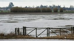 Calculan que recién en julio se arreglarán los caminos rurales de Santa Fe