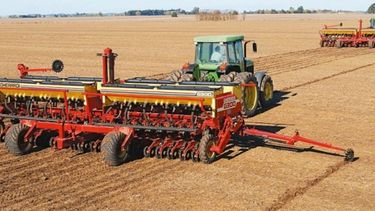 La siembra de soja ya abarca casi un 95 por ciento del área proyectada