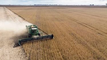 Las condiciones de los campos argentinos.