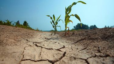 La emergencia agropecuaria fue declarada en el marco de la Comisión Nacional de Emergencias y Desastres Agropecuarios.