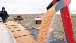 "La Provincia" confirmó aumento del costo para transportar granos en territorio bonaerense