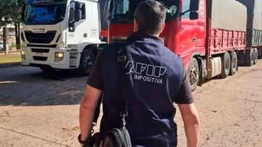 Incautan más de 130 millones de toneladas de granos en Chaco