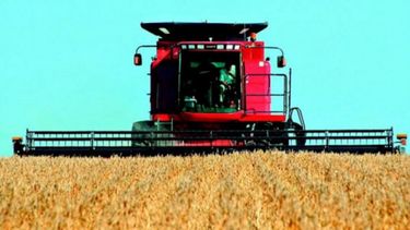 La cosecha de soja registra un progreso al cierre de la temporada