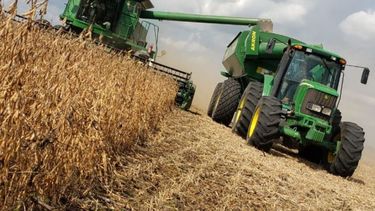 La cosecha de soja pasó las 49 millones de toneladas