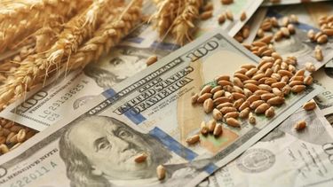 Los productores vendieron 4,3 millones de toneladas de maíz en el marco del PIE IV.