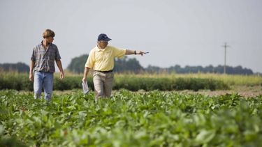 Preocupación de FAA por la actualidad de los productores PYME