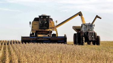 La cosecha de soja entró en su etapa final