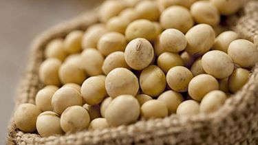 China levantará aranceles a la soja y carne de Estados Unidos