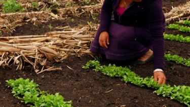 CARBAP honró a las mujeres rurales en su día
