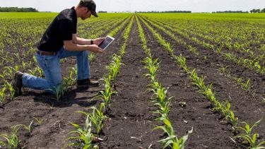 La industria AgTech creció 70% durante los últimos cinco años