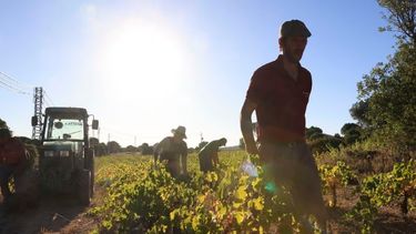 La presión impositiva sobre el sector agropecuario.