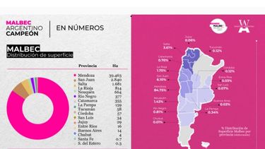 Malbec Argentino: un campeón mundial que se mantiene vigente