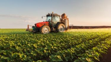 Nueva baja de las retenciones a la soja tendrá un costo de $20 mil millones