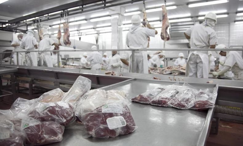 Los cortes del producto premium.