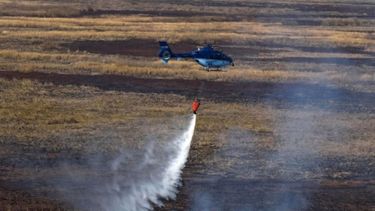 Córdoba seguirá bajo "desastre agropecuario" hasta 2021