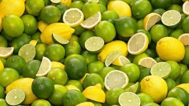 Establecen nuevos valores para exportar limones y limas