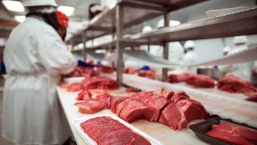 Subrayan que la carne aumentó hasta 145% en lo que va del año