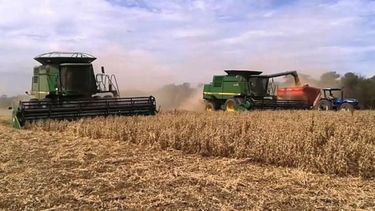 La soja tardía avanzó hasta el 60% de lo sembrado en Santa Fe