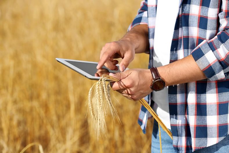 Facilitando la gestión de los productores.