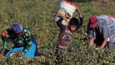 Creció la pobreza en las zonas rurales de la región