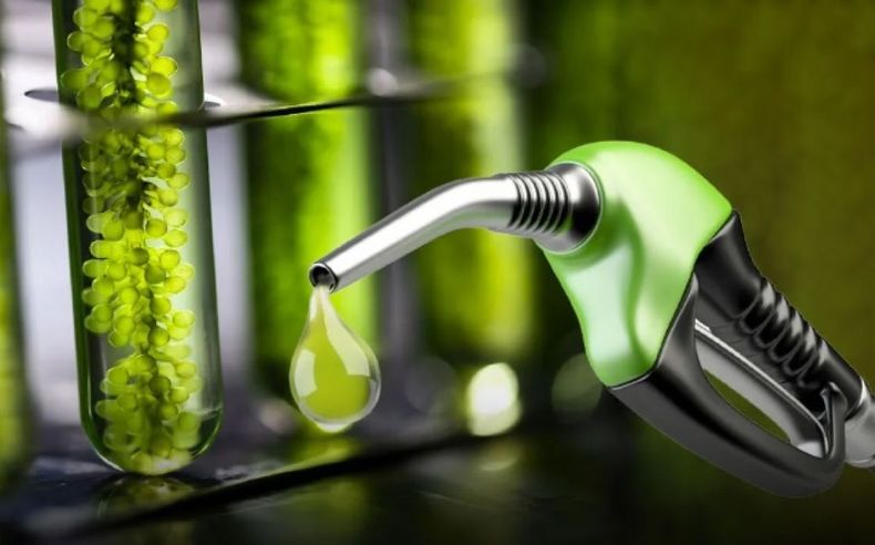 Nueva alza en los precios de los biocombustibles