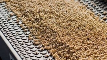 Firma japonesa comprará 400 mil toneladas de harina de soja argentina