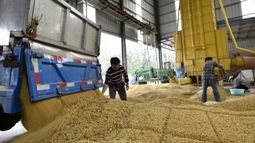 China elevó el nivel de compras de soja brasileña