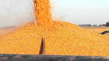 Por las retenciones al agro se generarán unos US$ 6.880 millones en 2019