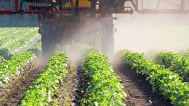 Prohíben el uso de dos insecticidas utilizados en la actividad granaria y ganadera