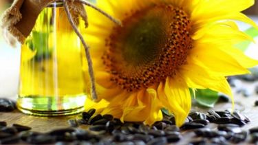 La producción de aceite de girasol creció 3,3% en el primer trimestre