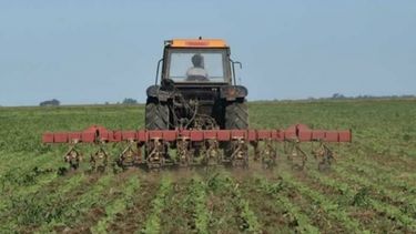 Fundación creada por ingleses y argentinos hace 100% de producción orgánica