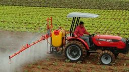 El Mercosur y FAO crearon fondo para apoyar la agricultura familiar