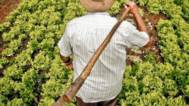 Productores de alimentos de América Latina y el Caribe sufren el flagelo de la pobreza