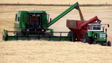 La cosecha aportará 28.000 millones de dólares a la economía