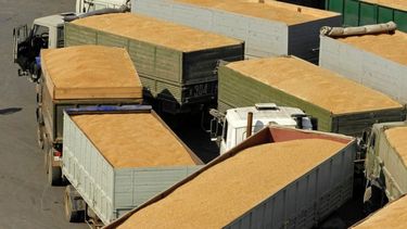 Rentabilidad del sector agroexportador fue la mejor en cinco años