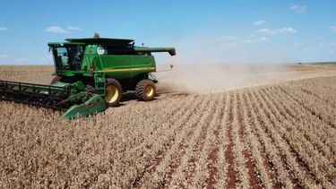 Recortaron la proyección de la soja a 38 millones de toneladas