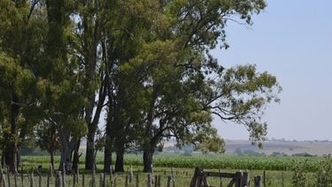 Los debates más controvertidos sobre el campo