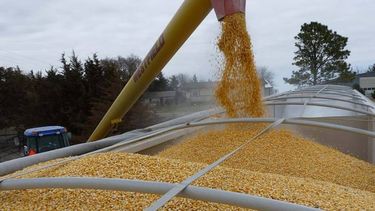 El remanente de granos de la cosecha gruesa va a limitar las operaciones de las terminales portuarias y de la industria de la molienda de soja en los próximos meses.