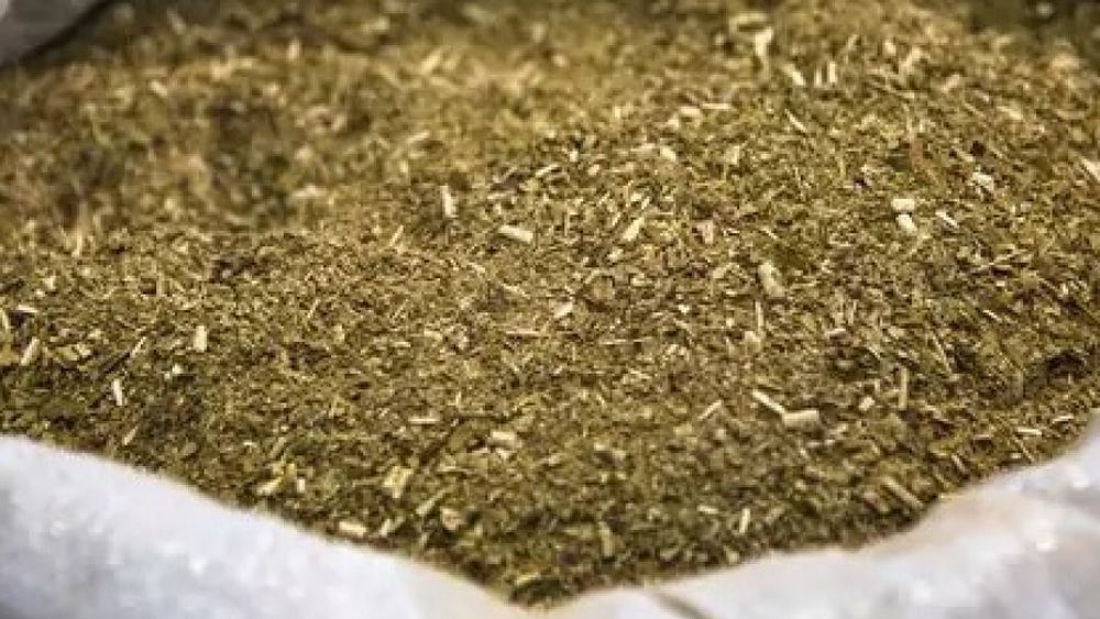 Determinan nuevos precios para la producción de yerba mate