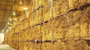 Tabacaleros tucumanos reclaman a Nación el envío de fondos